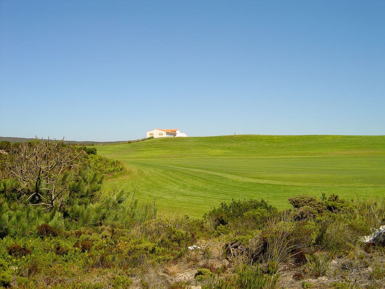 Praia D'El Rey Golf & Country Club photograph