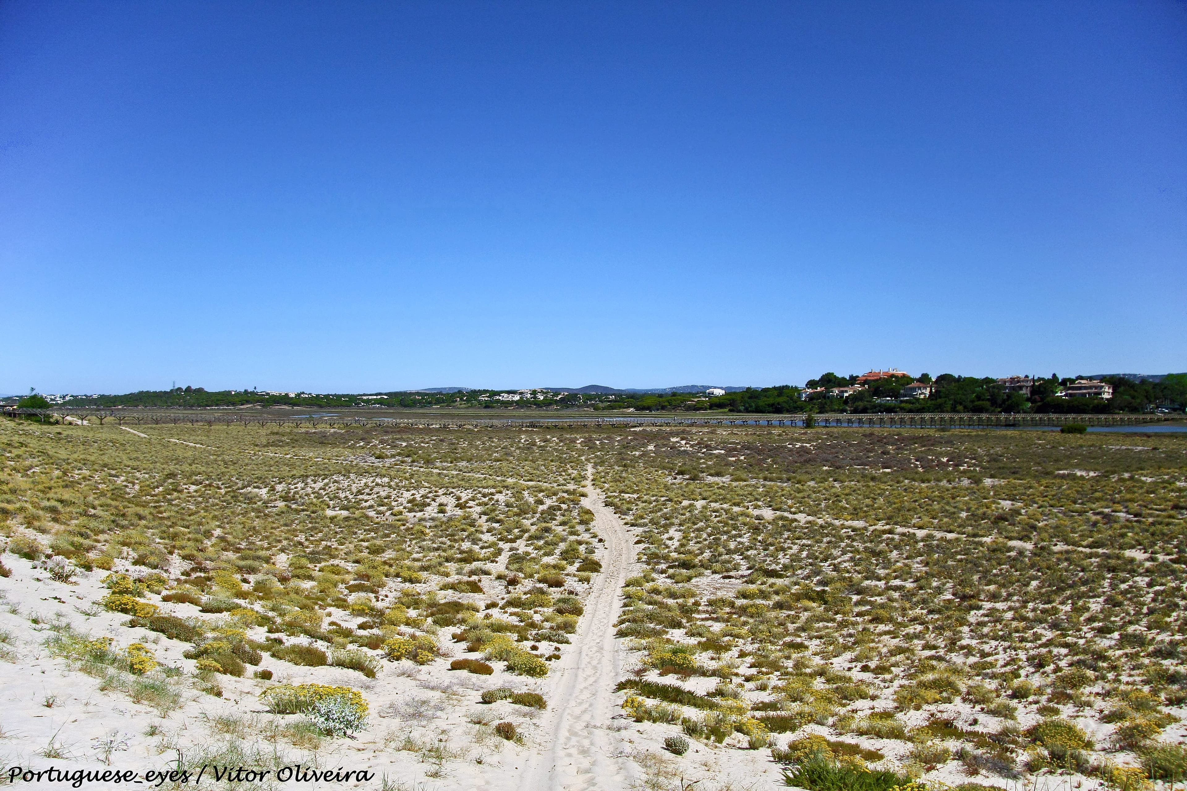 Quinta do Lago golf course photograph
